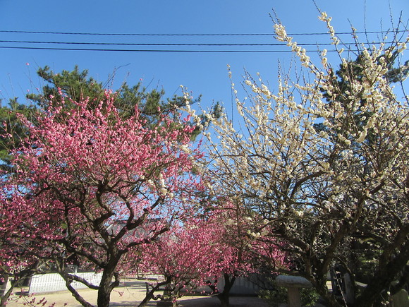 f0231709_17395548.jpg