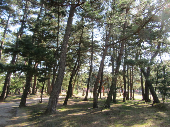 f0231709_18351134.jpg