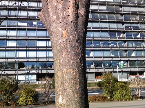 b0285619_15535144.jpeg