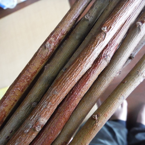 c0310322_20155338.jpg