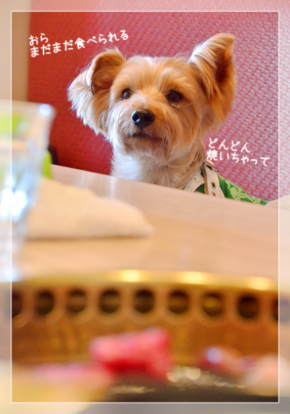 2017年最初のお友達とのお出掛けは、焼肉から。_d0179828_10421791.png