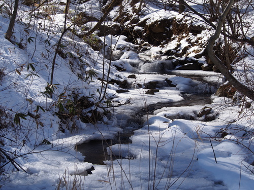 a0267332_1957417.jpg