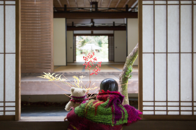 昆布男と ”高桐院” へ_e0369736_17082529.jpg