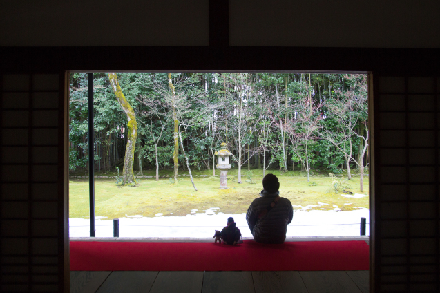 昆布男と ”高桐院” へ_e0369736_17121973.jpg