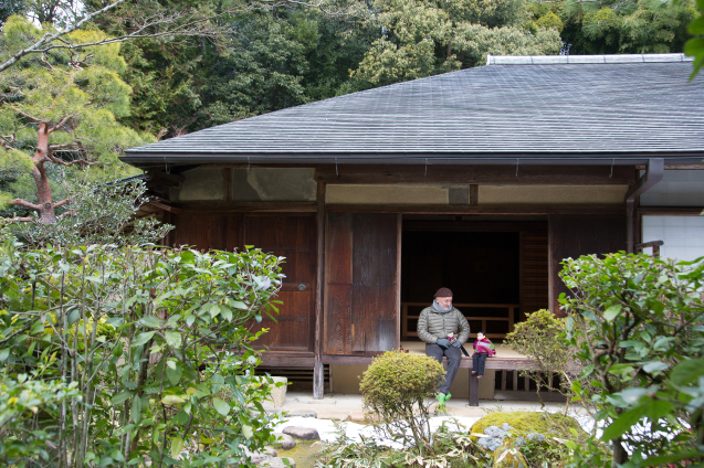 昆布男と ”高桐院” へ_e0369736_17130594.jpg