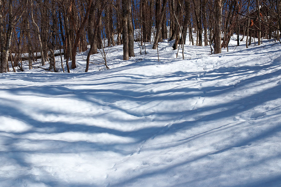 c0067040_23275039.jpg