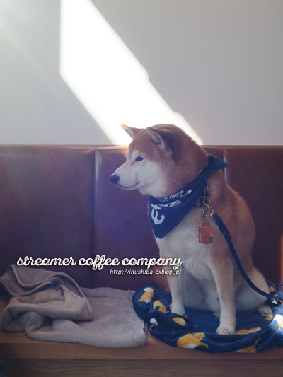 犬連れ店内ok で世界最高レベルのラテアート Streamer Coffee Company Nagoya 名古屋市中区 Yamatoのひとりごと 犬連れ店内ok で世界最高レベルのラテアート Streamer Coffee Company Nagoya 名古屋市中区 Yamatoのひとりごと