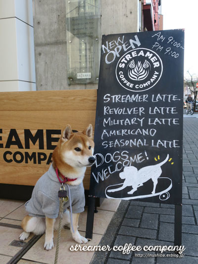 犬連れ店内ok で世界最高レベルのラテアート Streamer Coffee Company Nagoya 名古屋市中区 Yamatoのひとりごと