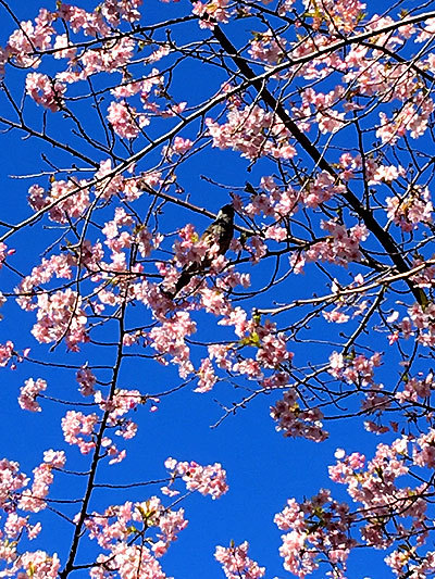 f0224855_20111921.jpg
