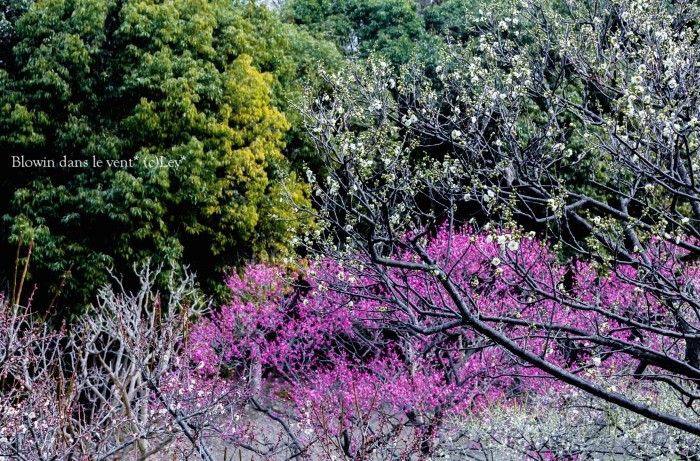 f0251765_1833121.jpg
