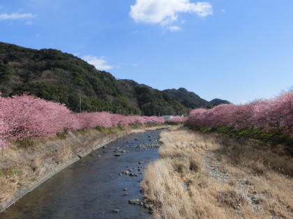 レイちゃん、旅でびゅー　（そのに）_b0193480_1611285.jpg