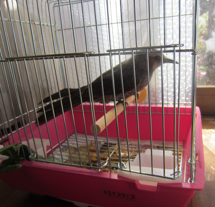 f0234590_11261451.png