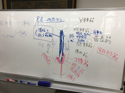 日本指圧協会 学術部 指圧研究会日本赤十字社にて。_a0112393_18331672.jpg