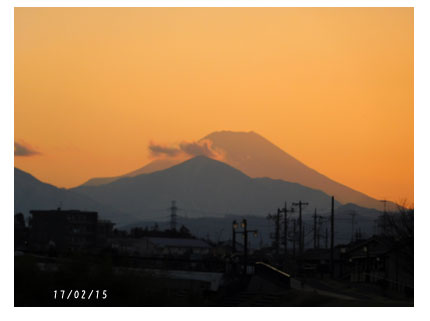 春の陽ざしに_c0051105_13542078.jpg