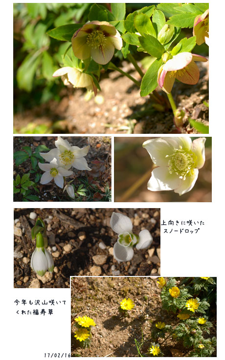春の陽ざしに_c0051105_1934637.jpg