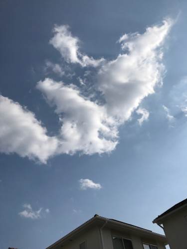 e0034013_14142162.jpg
