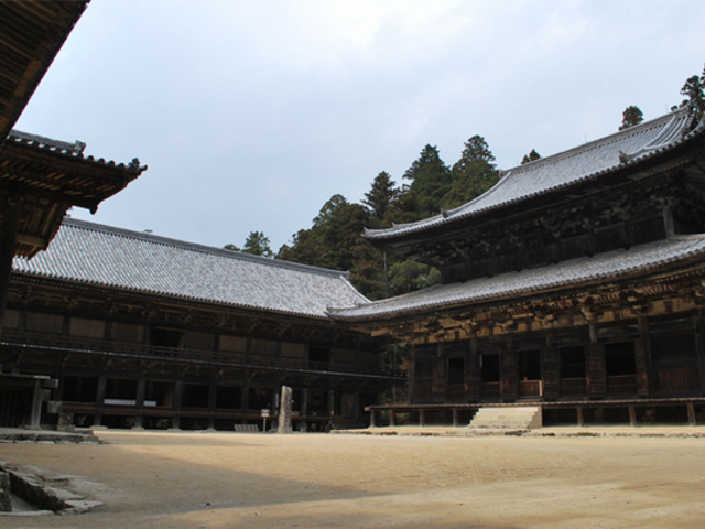 本能寺ホテル (鈴木雅之監督)_e0345320_22481494.jpg