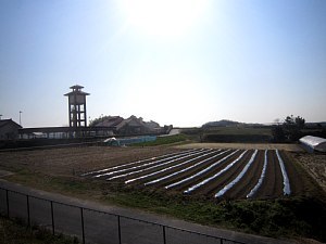 d0120421_15133134.jpg