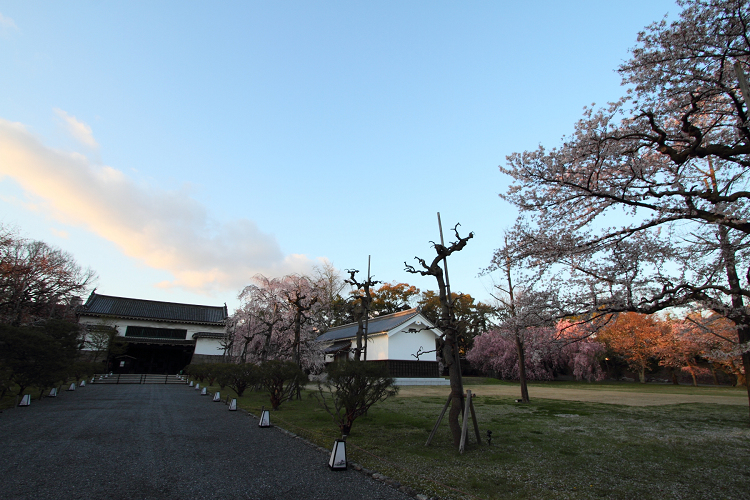 そうだ 京都、行こう。 －2017年桜 二条城（後編）－ _b0169330_23214787.jpg