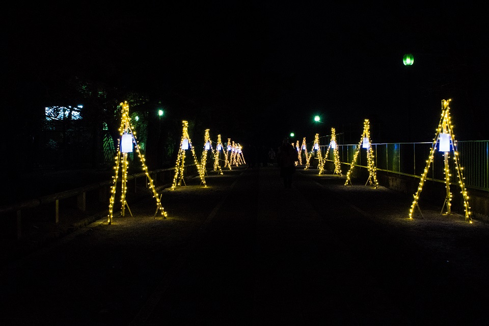 e0363038_13351468.jpg