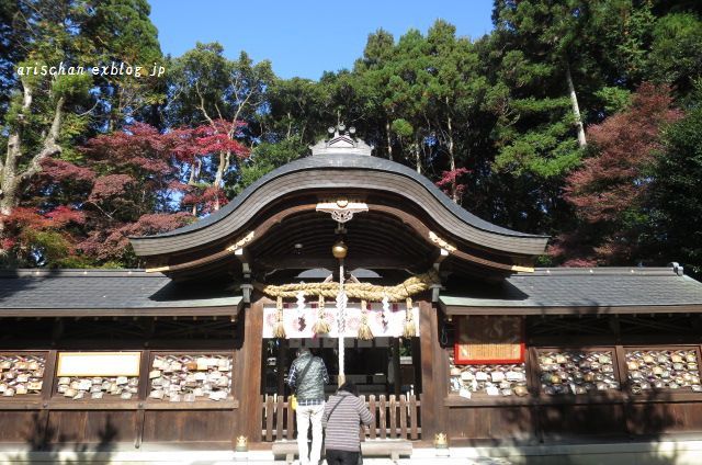 今さらシリーズ京都の紅葉～一乗寺界隈散歩♪_f0295238_12465617.jpg