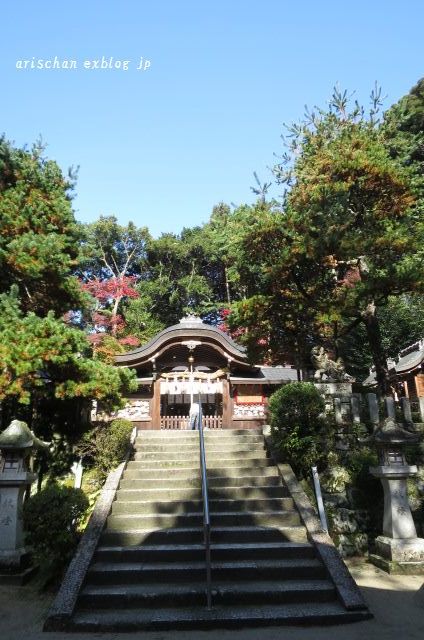 今さらシリーズ京都の紅葉～一乗寺界隈散歩♪_f0295238_12480056.jpg