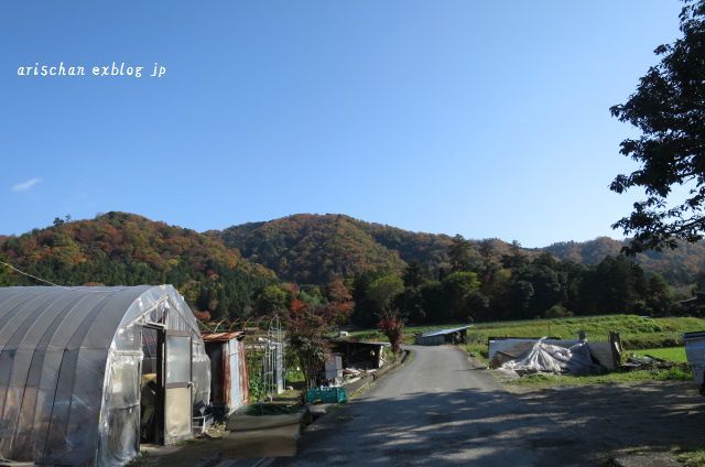 今さらシリーズ京都の紅葉～一乗寺界隈散歩♪_f0295238_12485488.jpg