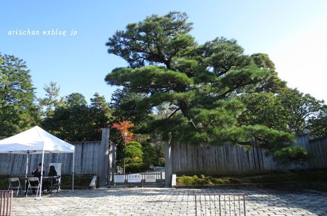 今さらシリーズ京都の紅葉～一乗寺界隈散歩♪_f0295238_12521099.jpg