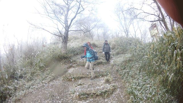 e0371039_17304825.gif