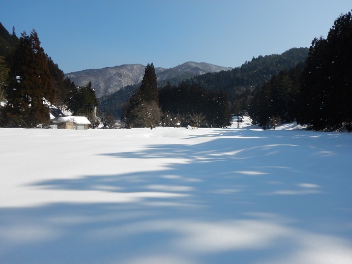 c0357242_23244441.jpg
