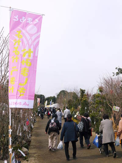 第42回ＪＡ植木まつり(IN熊本県農業公園（カントリーパーク）)に行ってきました！_a0254656_17264410.jpg