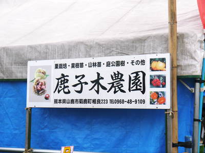 第43回JA植木まつり(IN熊本県農業公園(カントリーパーク))&苗木の定植の話 _a0254656_18193211.jpg