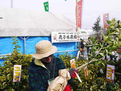 第42回ＪＡ植木まつり(IN熊本県農業公園（カントリーパーク）)に行ってきました！_a0254656_18284549.jpg
