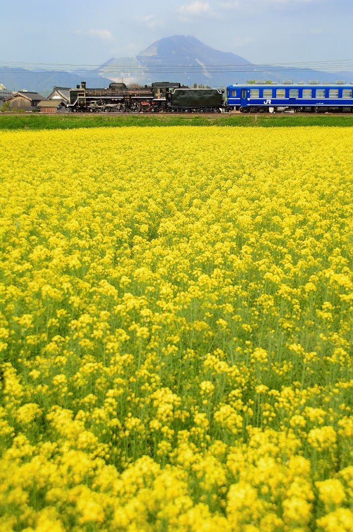 煙が無いなら、無いなりに_d0336159_19103808.jpg