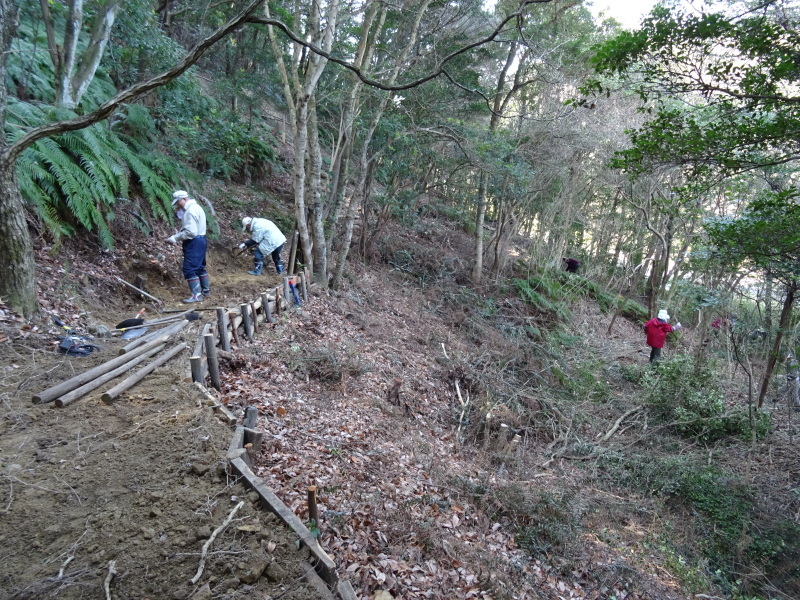 ぼうけん山道拡張作業継続・・・うみべの森_c0108460_18185686.jpg