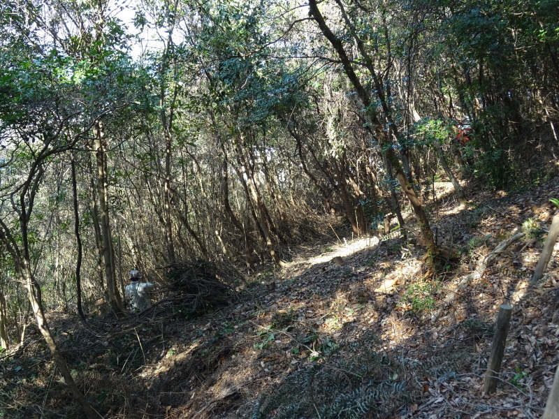 ぼうけん山道拡張作業継続・・・うみべの森_c0108460_18194237.jpg