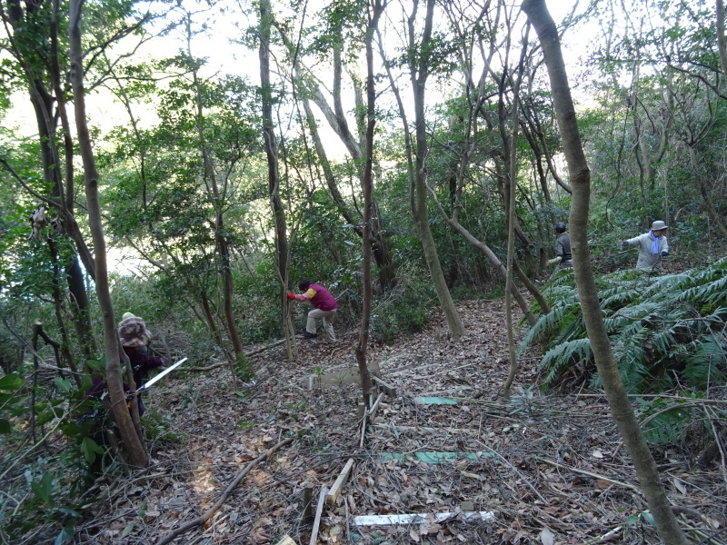 ぼうけん山道拡張作業継続・・・うみべの森_c0108460_18200629.jpg
