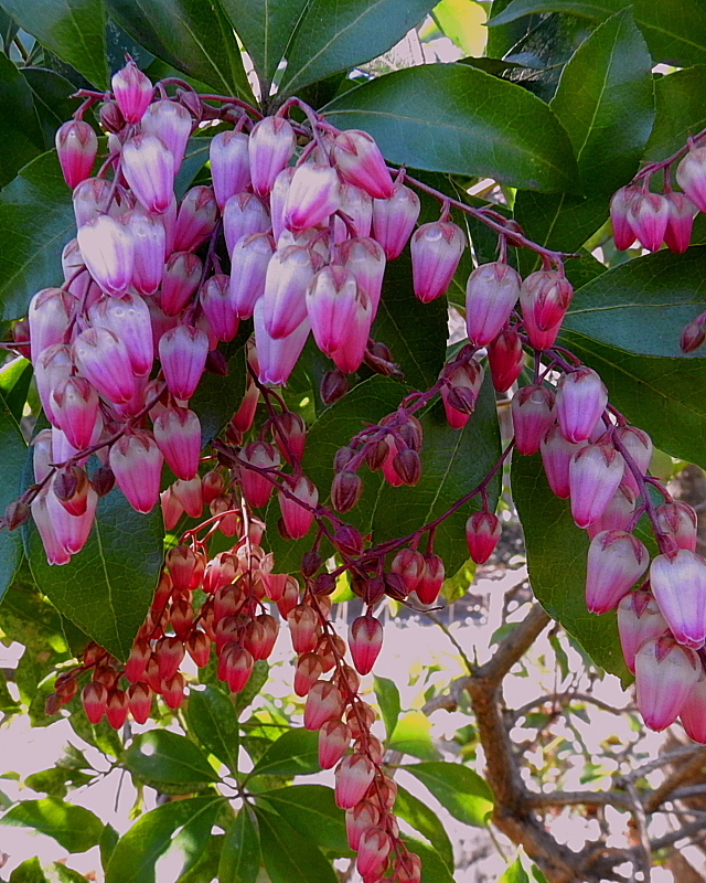 c0305565_17440048.jpg