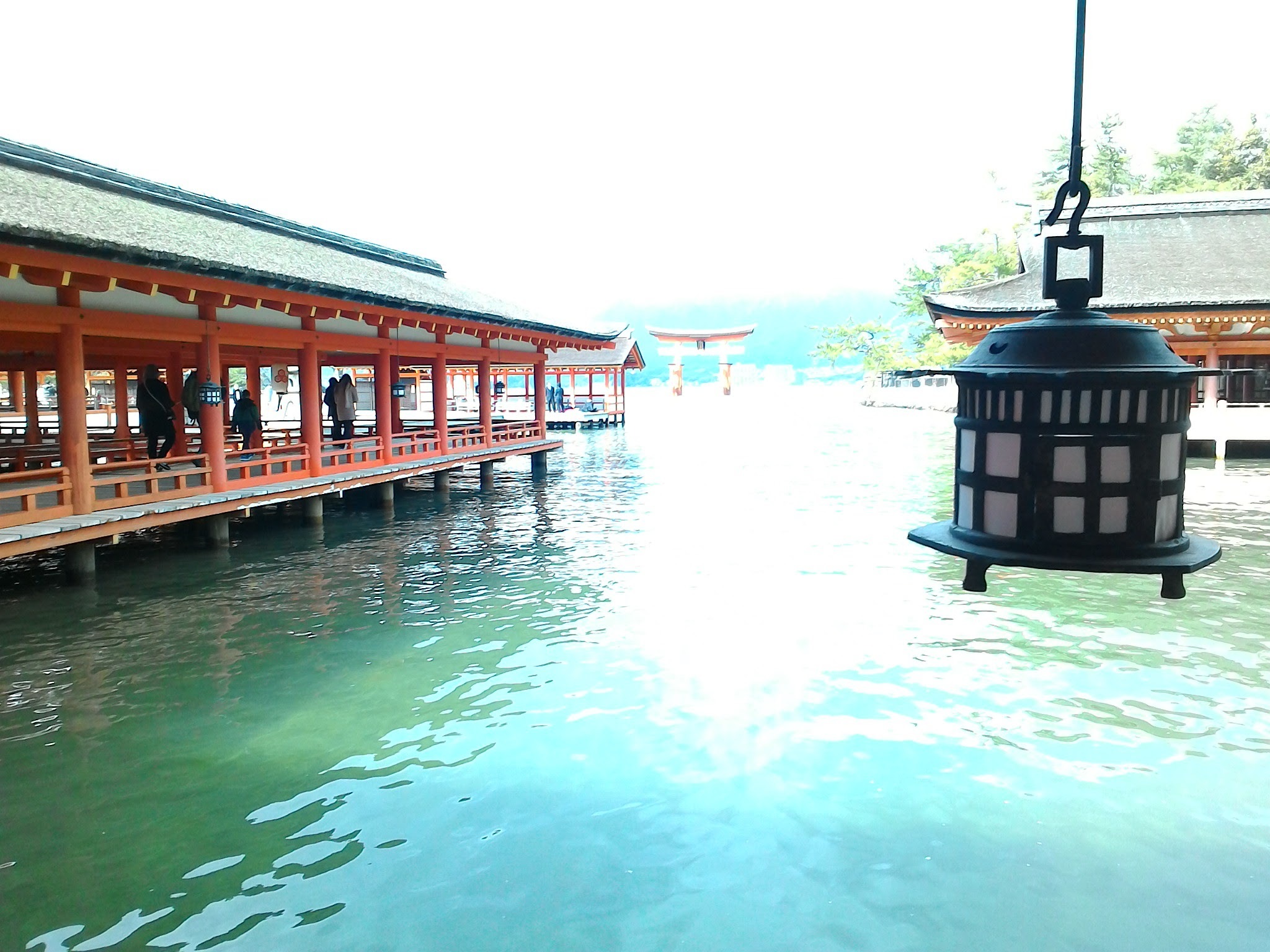 d0165488_17351132.jpg