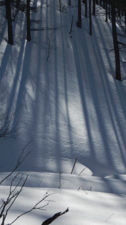 雪の上に出来る光の影_e0120896_07460617.jpg