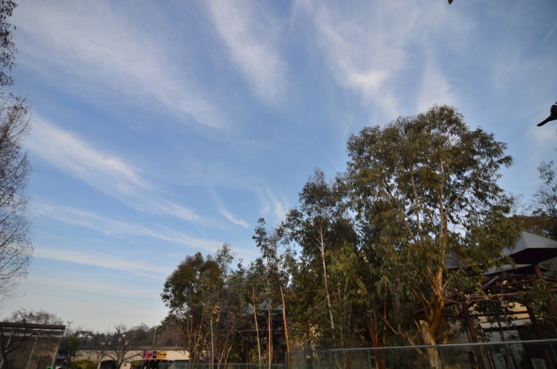 a0164204_14060133.jpg