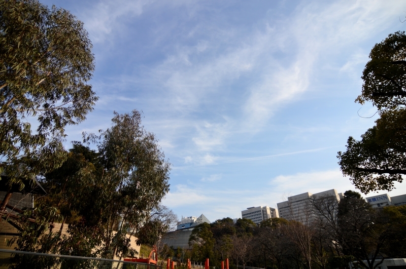 a0164204_14123727.jpg