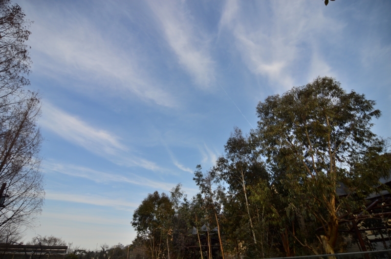 a0164204_14401517.jpg
