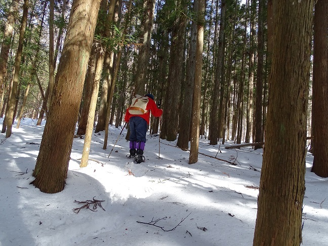 芝草山麓スノーシュー_f0360815_14545476.jpg