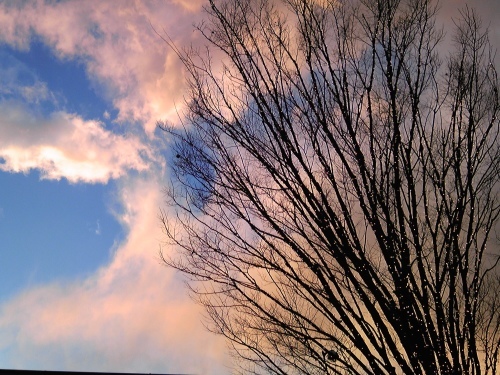 b0285619_20294175.jpeg
