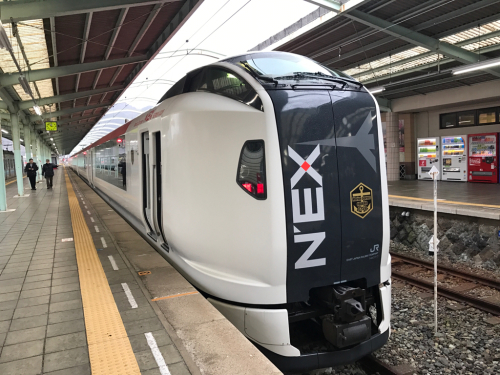 2017.02 JTCCホテルジャパン下田 ② 河津桜を見るはずが_e0219520_22144638.jpg