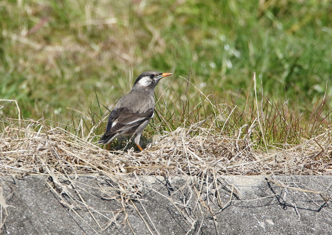 f0310221_12505932.jpg