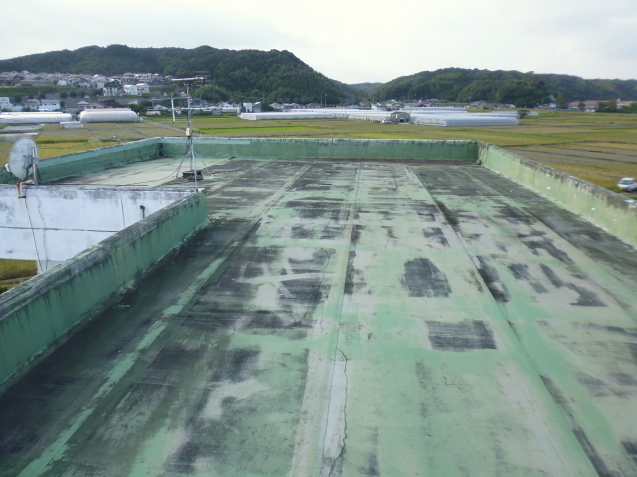 c0280729_09172260.jpg