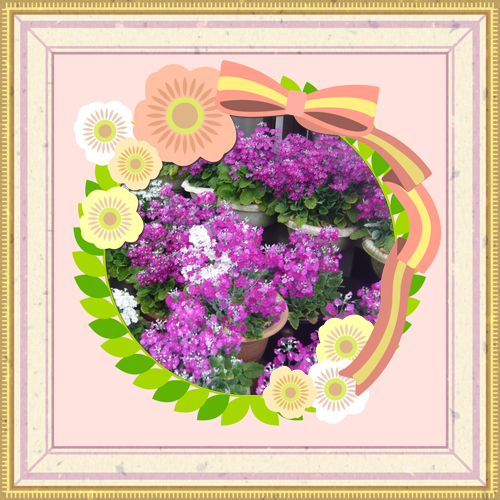 a0206332_15370223.png