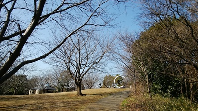 f0182140_8243747.jpg